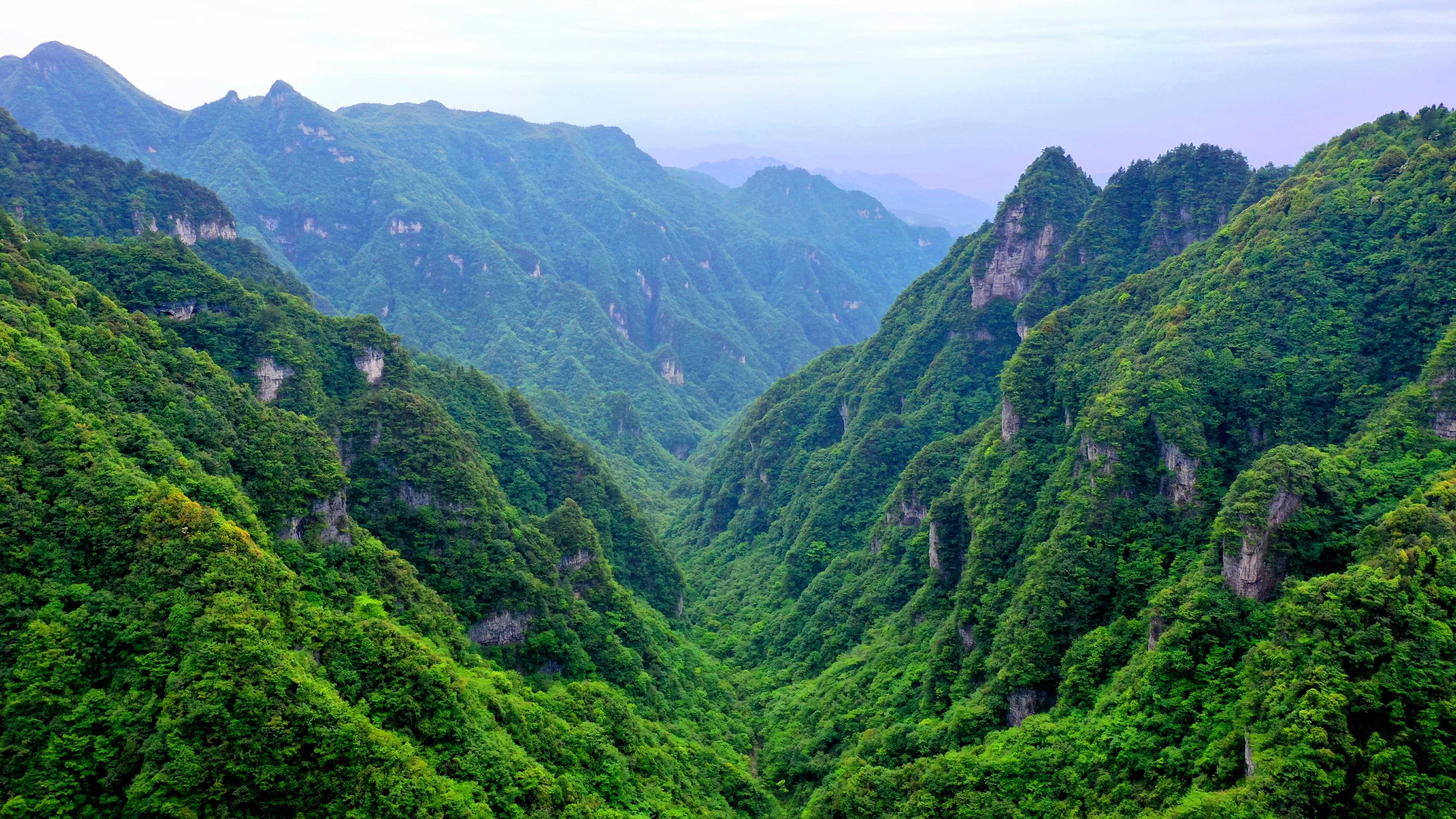 习水桃林，青山叠翠谷幽深，夏夜繁星伴清凉，旅居佳处​。习水县融媒体中心供图.jpg