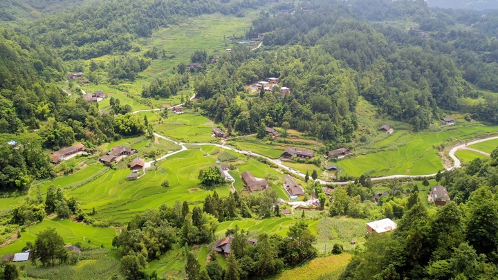 习水大坡田坝村，梯田绕屋、青山环抱，绘就田园避暑画卷。习水县融媒体中心供图.jpg