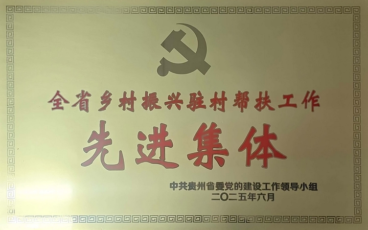 安顺职业技术学院党委荣获全省乡村振兴驻村帮扶工作先进集体。.jpg
