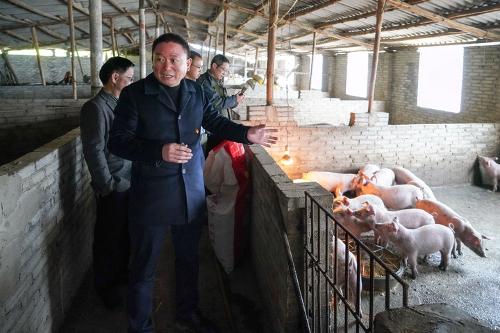 安顺职业技术学院教师到养牛村指导养殖技术。.jpg