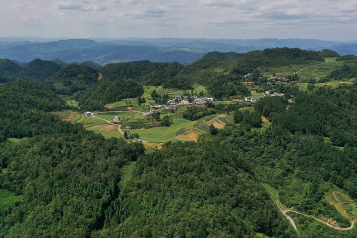 后山乡田兴村生态资源丰富。.jpg