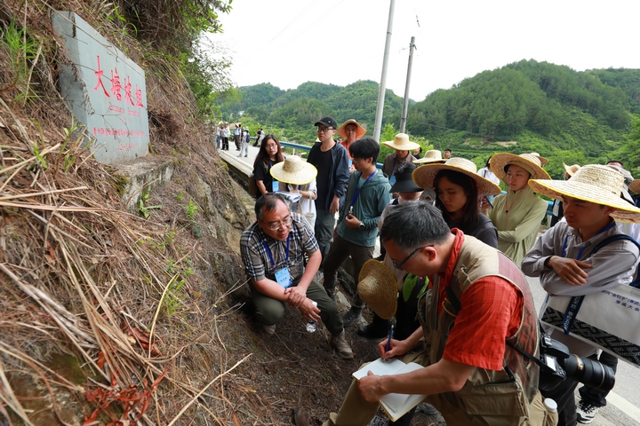專家學者進行野外考察。（劍河融媒） (12).JPG