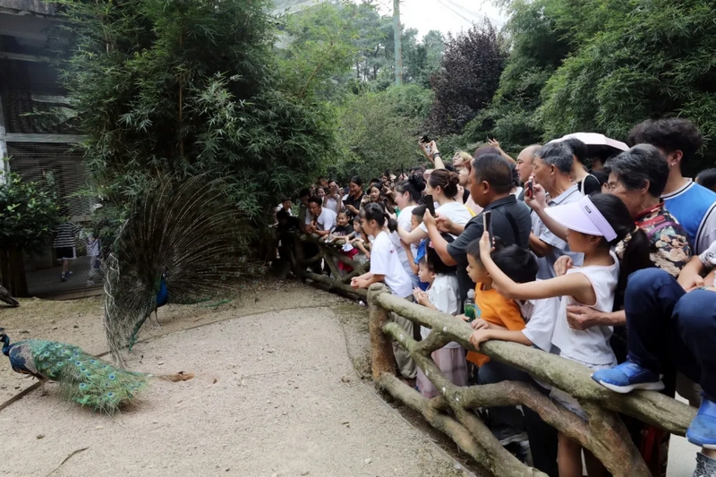 游客正在黔靈山公園內游玩。