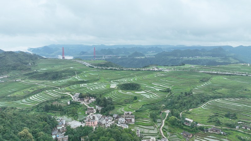 雄伟壮观的龙里河大桥。