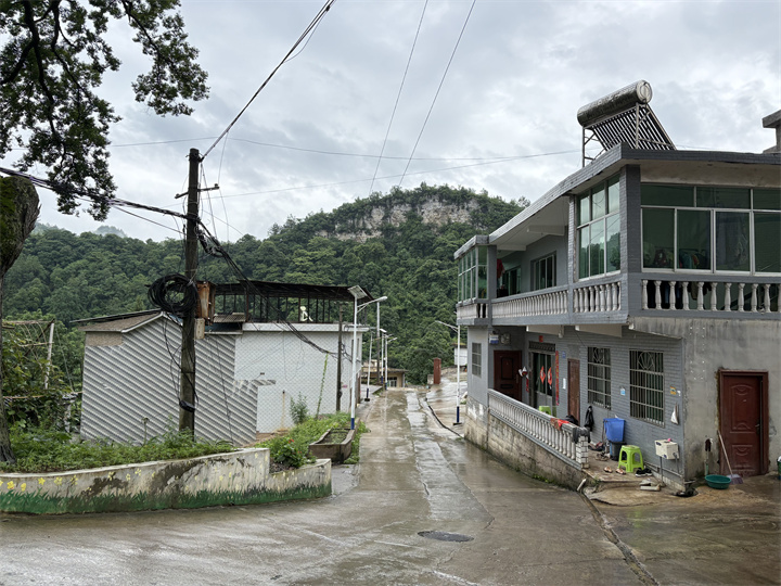 干净整洁的乡村道路.jpg