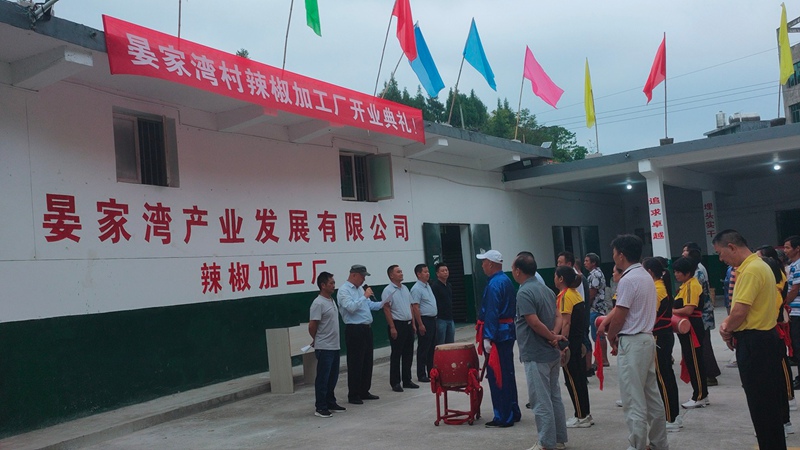晏家湾村辣椒加工厂开业投用。
