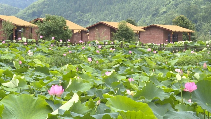 煥新升級后的普定縣水井村景區.jpg