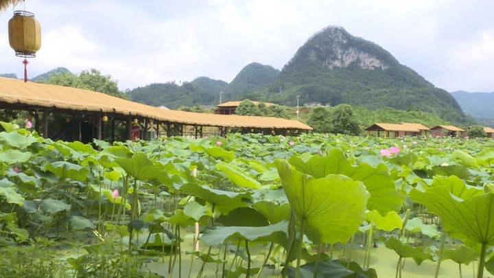 煥新升級后的普定縣水井村景區.jpg