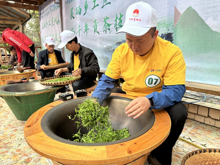 制茶比赛.jpg