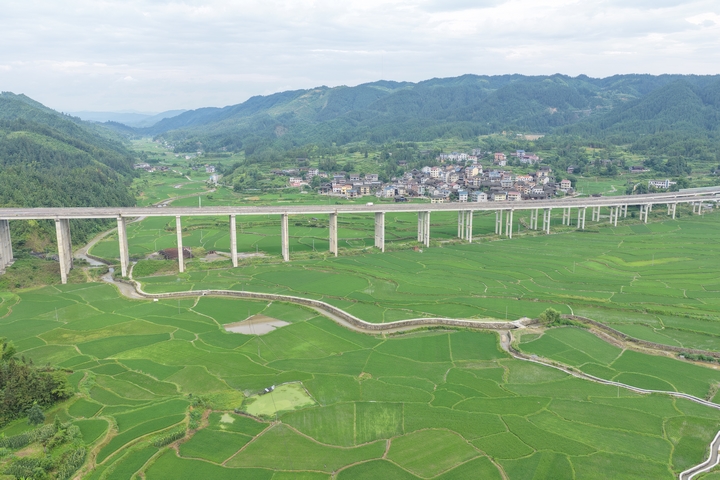 执法人员利用无人机巡查S15松从高速章寨大桥桥下空间.jpg