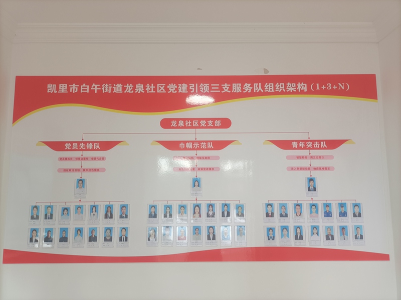 龙泉社区三支服务队伍组织架构图。
