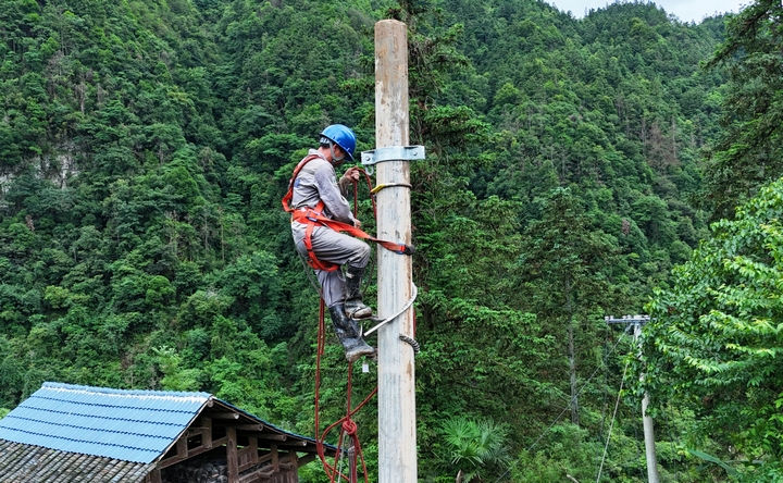 电力抢修人员在磻溪镇抢修线路。罗峥铭摄