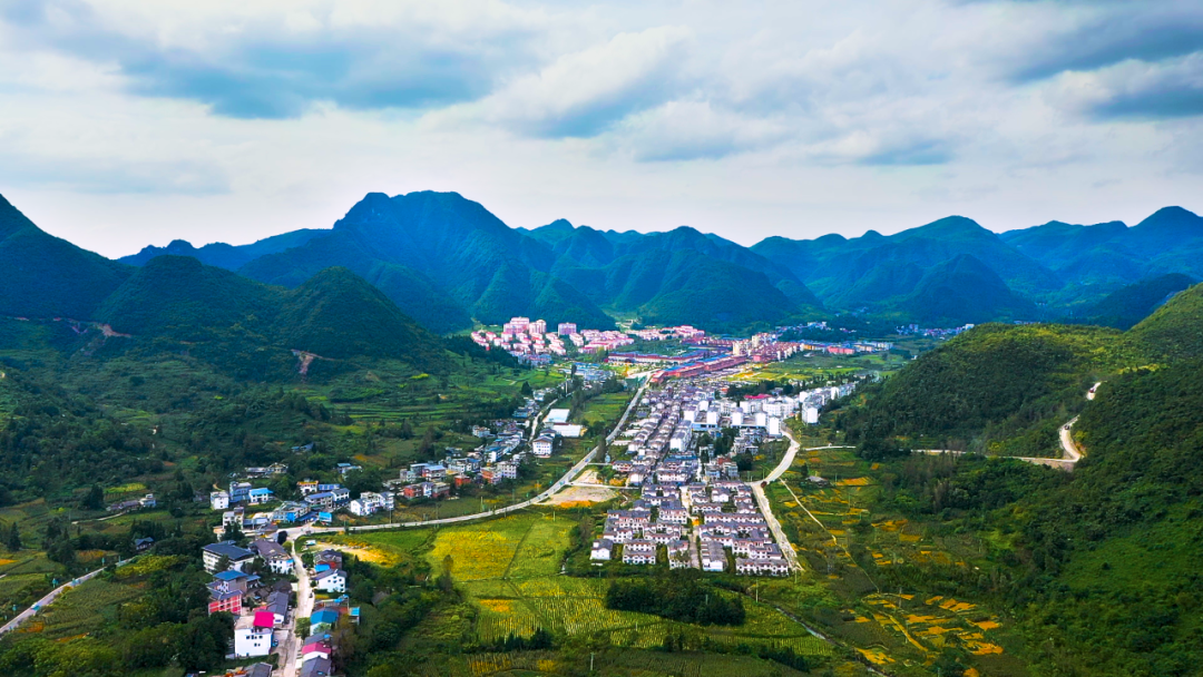 康養避暑。.png
