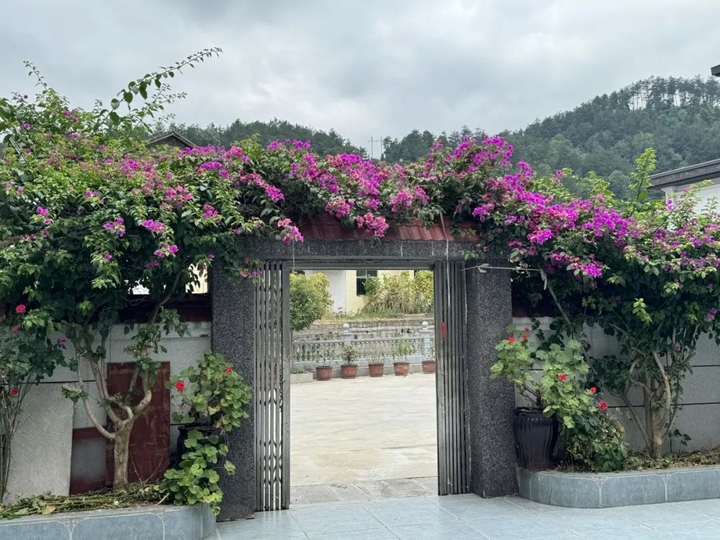 西山镇鹿窝村旅居民宿一角.jpg