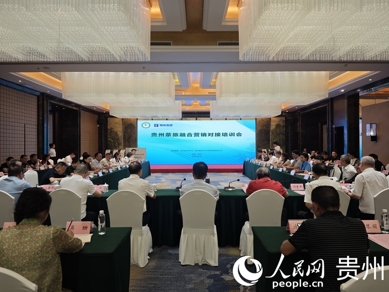 会议现场。人民网 黄小桃摄