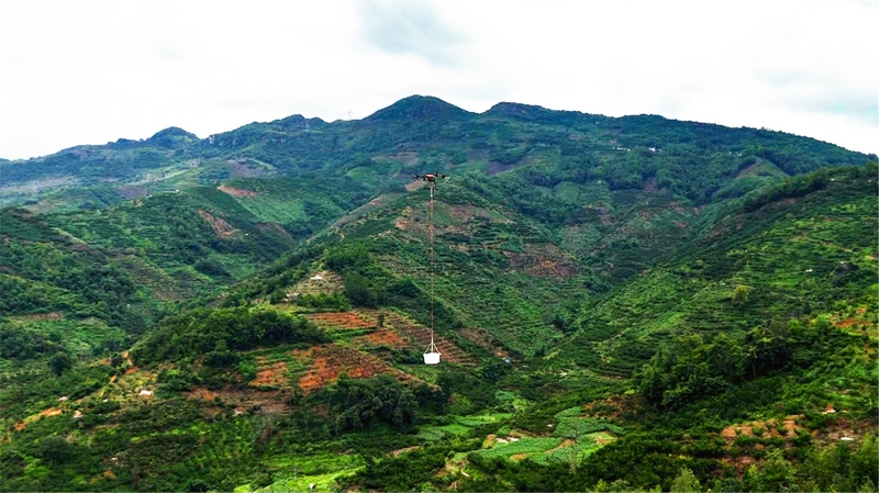 無人機在山間吊運鎮寧蜂糖李。