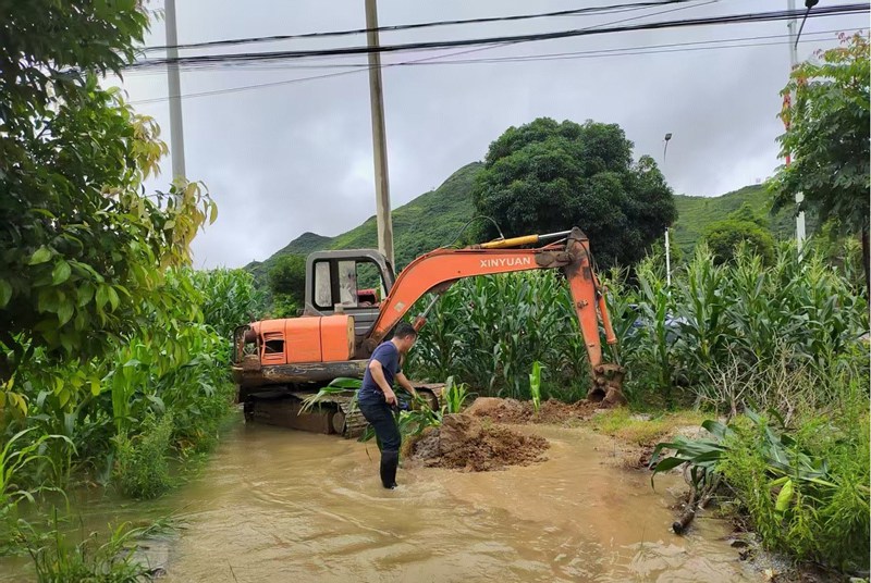 清理内涝农田。