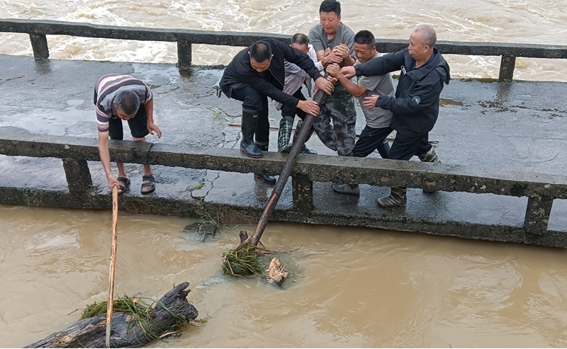 清理河道断枝。