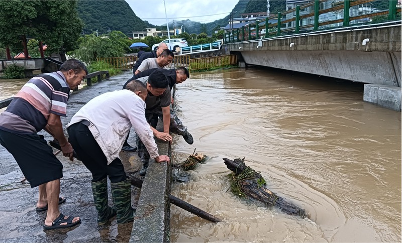 清理河道断枝。