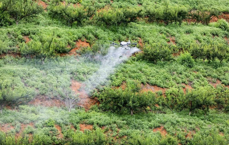 貴州羅甸：無人機“飛防”賦能山地農業降本增效。