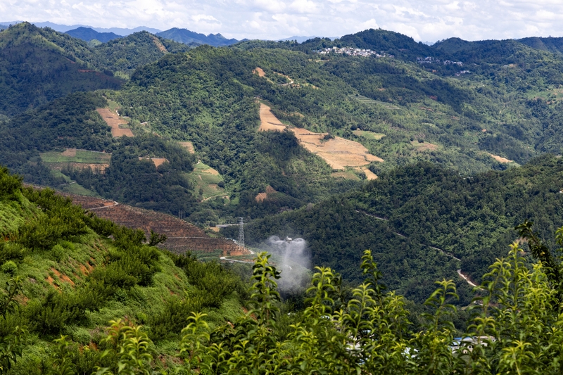貴州羅甸：無人機“飛防”賦能山地農業降本增效。