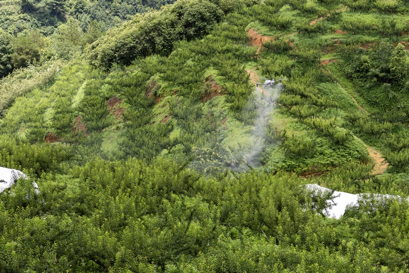 貴州羅甸：無人機“飛防”賦能山地農業降本增效。