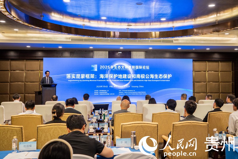论坛现场。人民网 阳茜摄