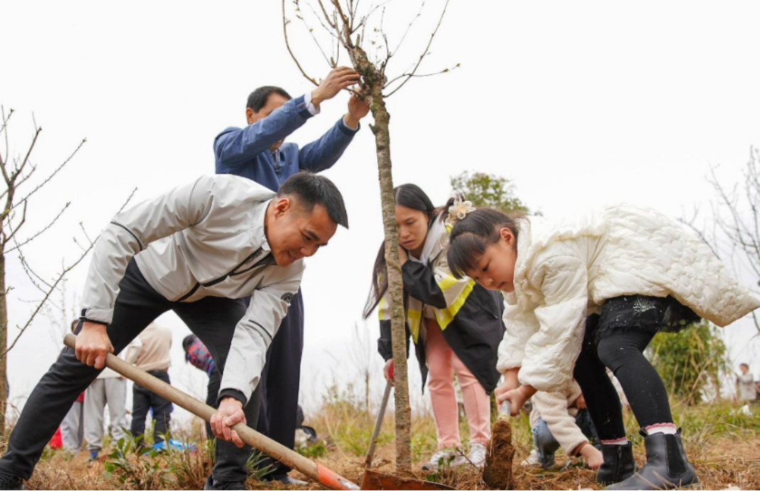 植树活动现场。共青团贵州省委供图