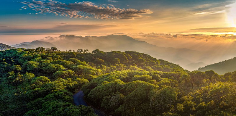 雷公山绿意盎然。吴大平摄