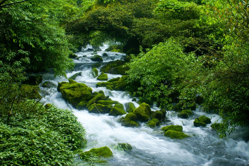 茂兰自然保护区——青龙涧。柏祥意摄