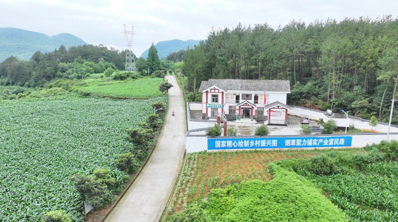 毕节市田坝桥镇硝灰洞村干净的道路。