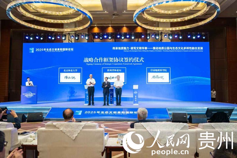 簽訂框架合作協議。人民網 陽茜攝