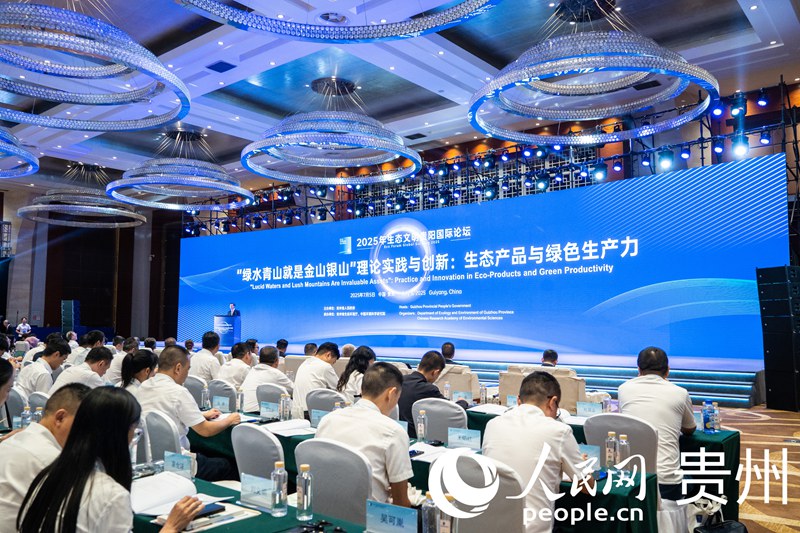 論壇現場。人民網 陽茜攝