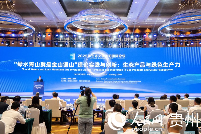 論壇現場。人民網 陽茜攝
