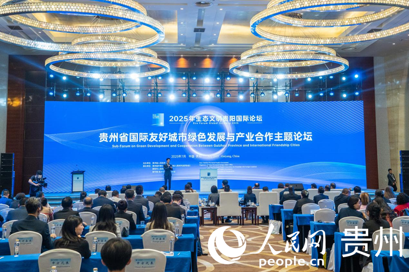 論壇現場。人民網 陽茜攝