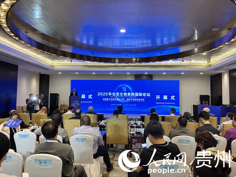 论坛现场。人民网记者 高华摄