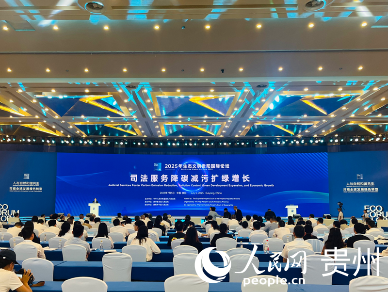 论坛现场。人民网 李丽萍摄