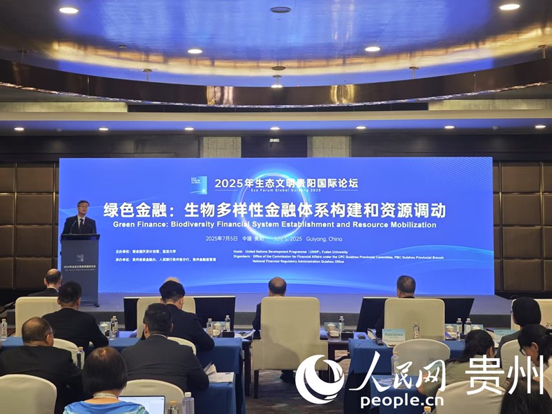 “绿色金融：生物多样性金融体系构建和资源调动”主题论坛现场。人民网 黄小桃摄