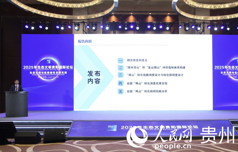 论坛现场。人民网 龙章榆摄