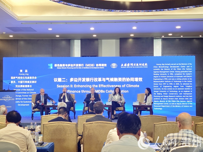 议题二研讨现场。人民网 黄小桃摄.jpg