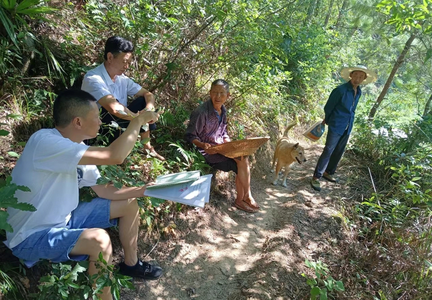余庆县基层调解员在山林中现场调解谢某韬与谢某海林地边界纠纷。