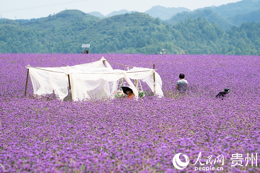 花海中摆放了打卡设施方便游人拍照。人民网 阳茜摄