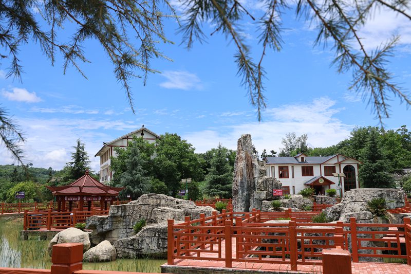 七星關區竹園鄉歹雞村。