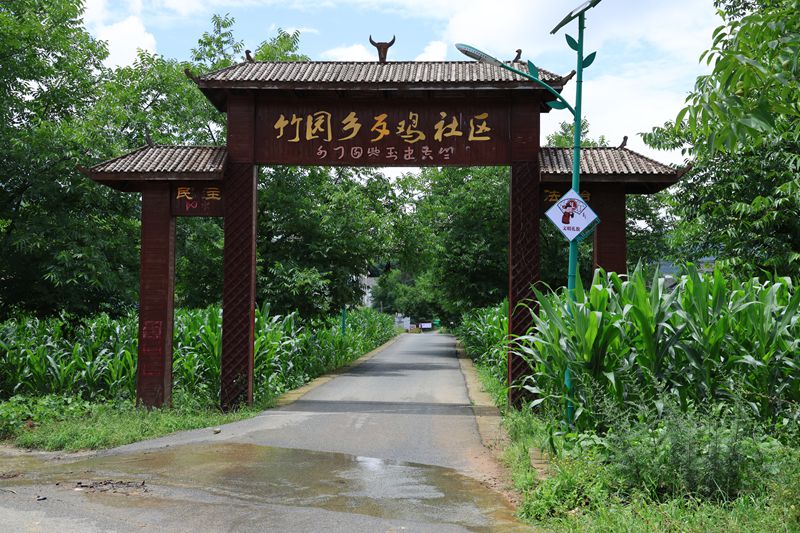 七星關區竹園鄉歹雞村道路干淨整潔。