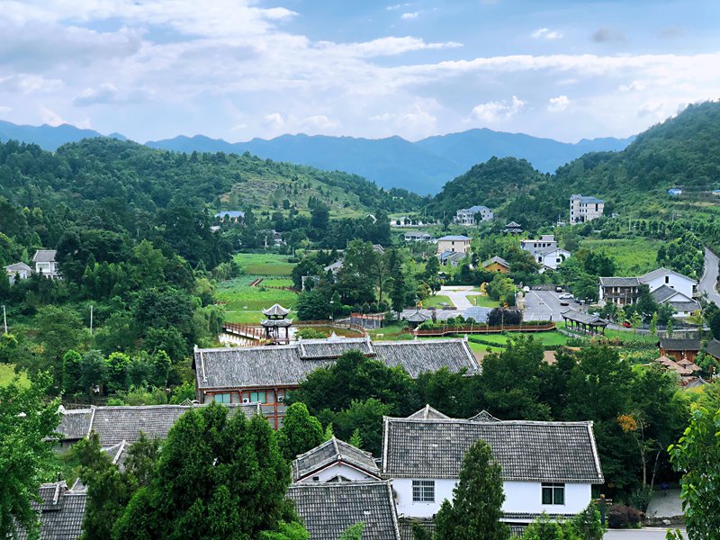 蔺田村村貌。
