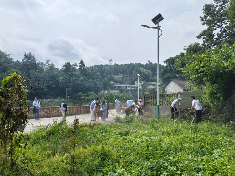 实践队师生清扫整改道路沿线与房屋周边垃圾。