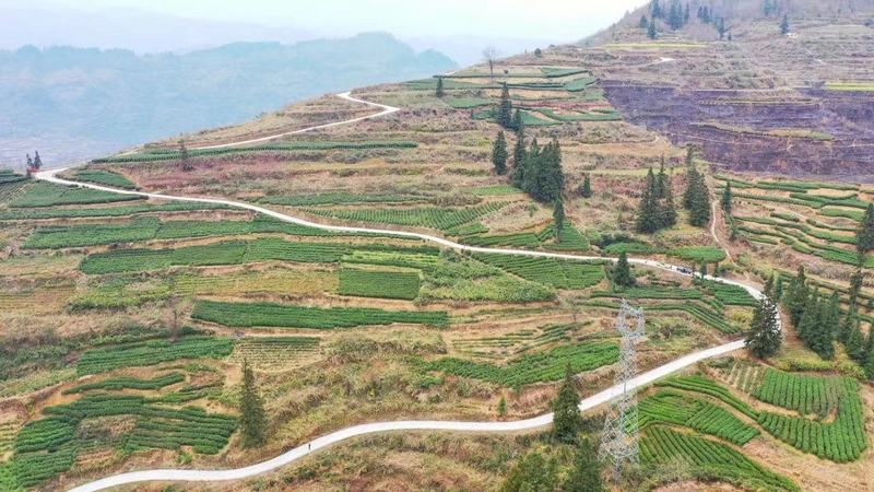 新景鎮姚溪村基地。