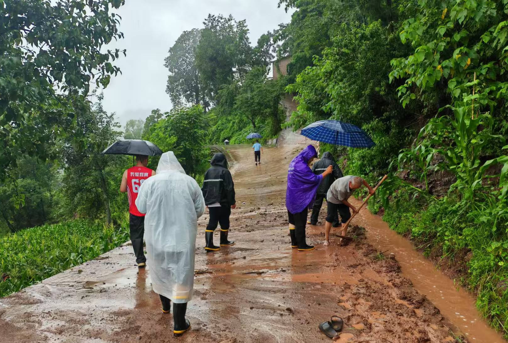 黨員干部冒雨清理村道泥濘路面。稅會靜攝