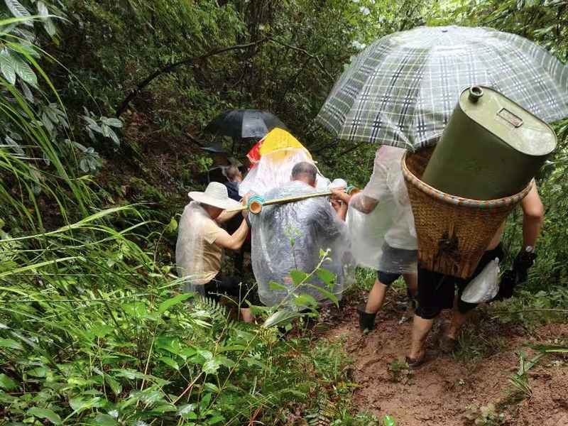 村民冒雨抬伤者穿行在湿滑山林间。习水县融媒体中心供图