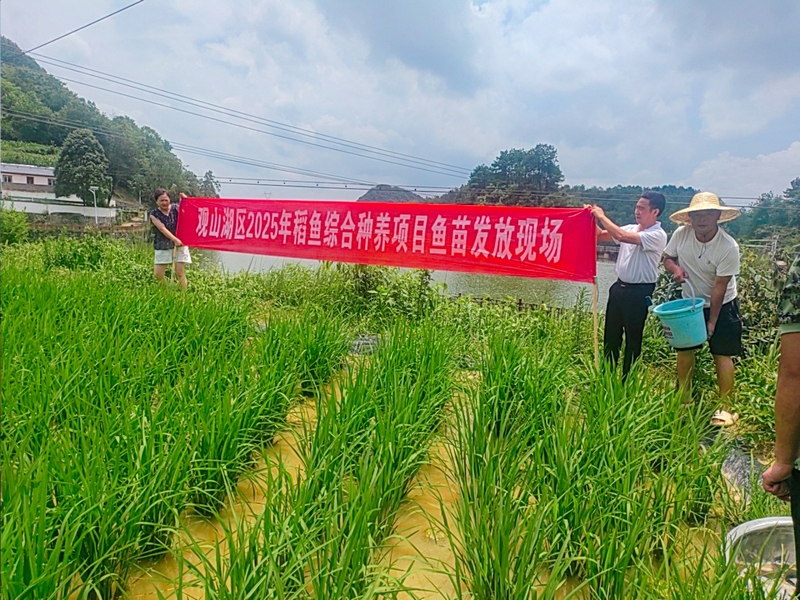 7月4日至8日，观山湖区农业水利服务中心在百花湖镇、朱昌镇、金华镇进行鱼苗发放工作。
